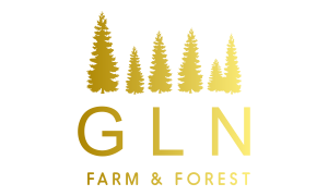 GLN Consulting